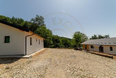 CASA EFICIENTA ENERGETIC - NZEB  in mijlocul naturii -Valea Urusului - 3