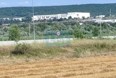 Teren Construcții intravilan de 6000 mp, în Micești - 2