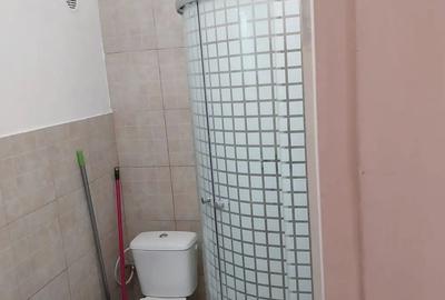 PACURARI-garsoniera mobilata si utilata, 22mp, et.3/4, inchiriata ! PACURARI-garsoniera mobilata si utilata, 22mp, et.3/4, inchiriata ! - 2