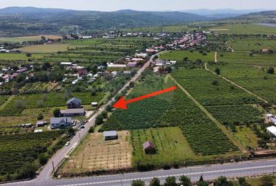 Casa sau Spatiu Dumbraveni langa DN E85 - 8