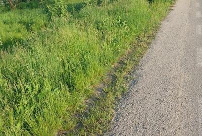 Spațiu comercial, în Cernești - 2