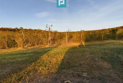 Casă individuală cu 6 camere cu Canalizare în Miniș - 39