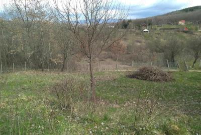 Teren extravilan de vanzare Str. Ghinzii, Bistrita, BN - 2