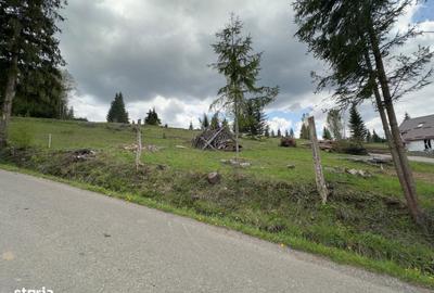 Teren de 1000 mp, în Șaru Dornei - 6