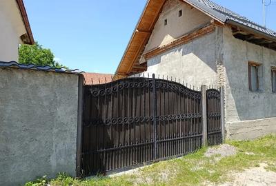 Vand proprietate (casa + teren) - 2