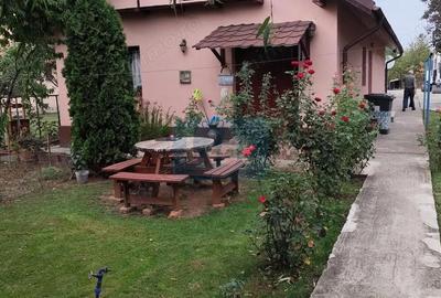 Casă cu 3 camere cu Teren 778 Mp în Lipănești - 14