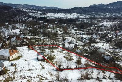 Teren de 3011 mp, în Bradu - 5