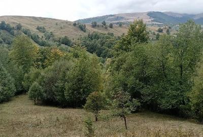 Teren de 9000 mp, în Secăria - 6