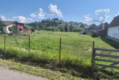 Teren de 2600 mp, în Moglănești