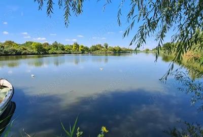 Casă cu 5 camere cu Teren 794 Mp în Livedea - 9