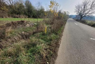 Vanzare teren intravilan - 1654 mp - strada Amurgului - Ursa?i - 2