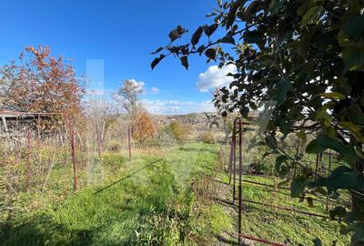 Casă individuală cu 4 camere cu Canalizare în Șeica Mare - 4