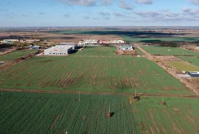 Teren Industrial in Giarmata, langa Hella Corporate Center - 2