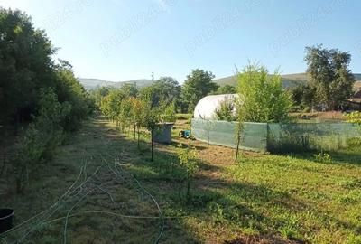 Teren de 4000 mp, în Central - 3