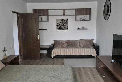 Garsonieră decomandată, mobilată în Nicolae Grigorescu - 3