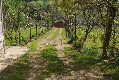 Casă cu 6 camere cu Teren 2559 Mp în Peștișani - 17