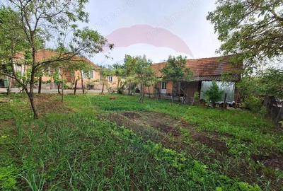 Casa cu teren 3100mp in Hidiselu de Sus - 10