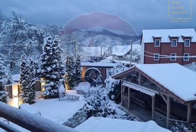 Hotel boutique/ Pensiune, renovat recent,  zona naturala ,  14 camere - 22