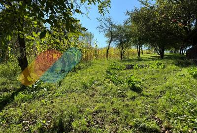 Casa Individuala 170 Mp In Visea cu teren de 2000mp Casa Individuala 170 Mp In Visea cu teren de 2000mp - 7