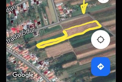 Teren de 10000 mp, în Măgureni - 1