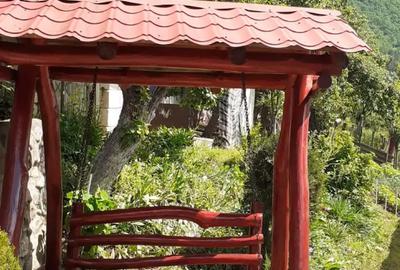 Casă cu 4 camere cu Teren 20 Mp în Băile Herculane - 2