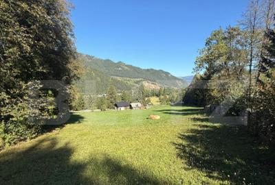 Teren intravilan 9368 mp, front 174 ml, localitatea Pojorata - 2