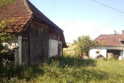 Loc. Basesti (jud. MM) casa de vanzare cu 8.000 mp teren - 2