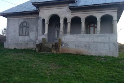 Oaza de liniste in Turceni - la casa - 2