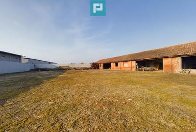 Teren ?i hale pe Calea Aradului din Periam - 6