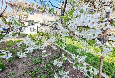 Casa amenajata cu stil, acces auto, curte, terase, zona Star - Centrul Istoric, Brasov - 3