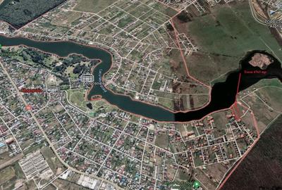 Teren dezvoltare 4763 pe malul Lacului Mogosoaia deschidere 40 metri - 10