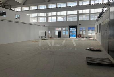 Hala renovata zona industriala Jilava - 3