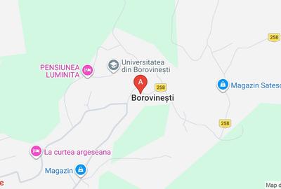 Spațiu comercial, de 122 mp, în Borovinești - 1
