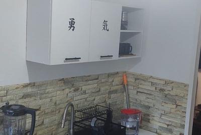 Apartament cu 2 camere, mobilat în Timocului-Șaguna - 3