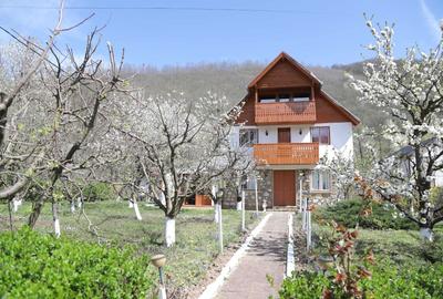 Casă cu 4 camere în Costești - 8