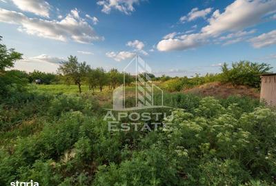 Casă cu 5 camere cu Teren 1439 Mp în Central