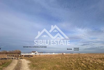 Teren agricol extravilan de 2000 mp, în Sud - 6