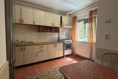 Apartament cu 2 camere decomandat, mobilat în Rovine - 10