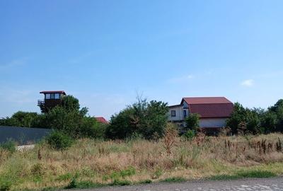 Spațiu comercial, în Sârbi - 5