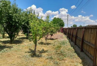 Movilita - vanzare casa 5 cam plus livada pe rod si teren 1800 mp - 12