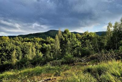 Teren cabana de vacanta Comision 0% - 4