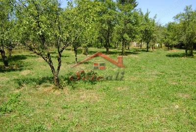 Teren de 1919 mp, în Cornu - 1