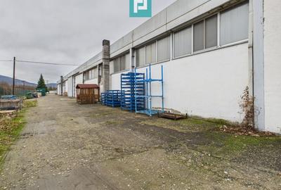 Hală cu teren intravilan de 3500 mp, în Sebiș Arad - 6