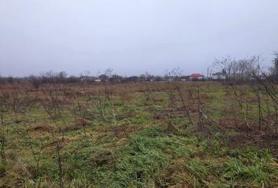 Teren 5000 mp 1 decembrie - strada Oituz - 2