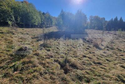 Teren de 2346 mp, în Poiana Mărului