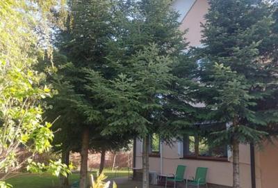 Casă cu 7 camere cu Canalizare în Snagov - 5