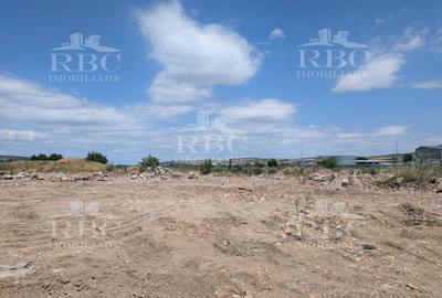Teren intravilan 30000 mp cu destinatie industrial/logistic Apahida - 2