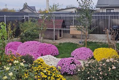 Casă cu 2 camere cu Teren 437 Mp în Horia - 4