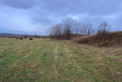 Teren Construcții extravilan de 5087 mp, în Sud-Vest - 4