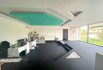 Casa individuala, plan parter in Mehala - 1